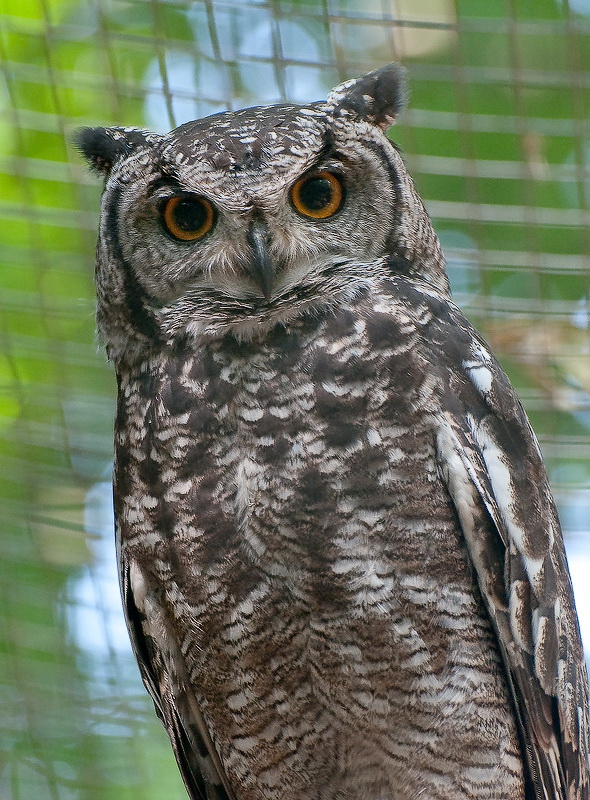 24 Tiere-Tierpark-Solingen-D34_8316.jpg